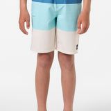 Boy's Hyperfreak Heat Block 17" Boardshorts