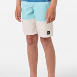 Boy's Hyperfreak Heat Block 17" Boardshorts