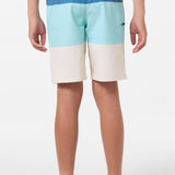 Boy's Hyperfreak Heat Block 17" Boardshorts