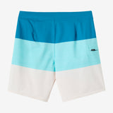 Boy's Hyperfreak Heat Block 17" Boardshorts