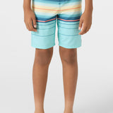 Boy's Hyperfreak Heat Stripe 17" Boardshorts