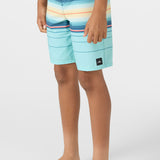 Boy's Hyperfreak Heat Stripe 17" Boardshorts