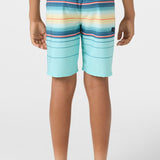 Boy's Hyperfreak Heat Stripe 17" Boardshorts