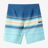 Boy's Hyperfreak Heat Stripe 17" Boardshorts