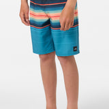 Boy's Hyperfreak Heat Stripe 17" Boardshorts