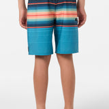 Boy's Hyperfreak Heat Stripe 17" Boardshorts