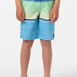 Boy's Lennox Stripe 18" Boardshorts