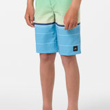 Boy's Lennox Stripe 18" Boardshorts