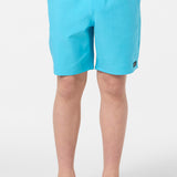 Boy's Lennox Hermosa 16" Swim Trunks