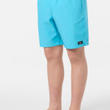 Boy's Lennox Hermosa 16" Swim Trunks