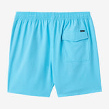 Boy's Lennox Hermosa 16" Swim Trunks