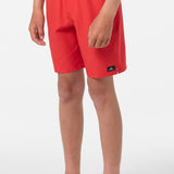 Boy's Lennox Hermosa Solid Volley 16" Swim Trunks