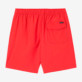 Boy's Lennox Hermosa Solid Volley 16" Swim Trunks