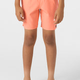 Boy's Lennox Hermosa 16" Swim Trunks
