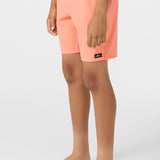 Boy's Lennox Hermosa 16" Swim Trunks