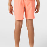 Boy's Lennox Hermosa 16" Swim Trunks