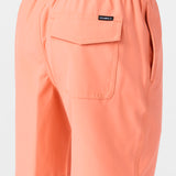 Boy's Lennox Hermosa 16" Swim Trunks