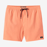 Boy's Lennox Hermosa 16" Swim Trunks