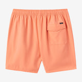 Boy's Lennox Hermosa 16" Swim Trunks