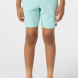 Boy's Lennox Hermosa 16" Swim Trunks