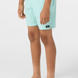 Boy's Lennox Hermosa 16" Swim Trunks