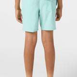 Boy's Lennox Hermosa 16" Swim Trunks