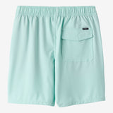 Boy's Lennox Hermosa 16" Swim Trunks