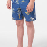 Boy's Hermosa Elastic Waist Lined 16" Swim Trunks
