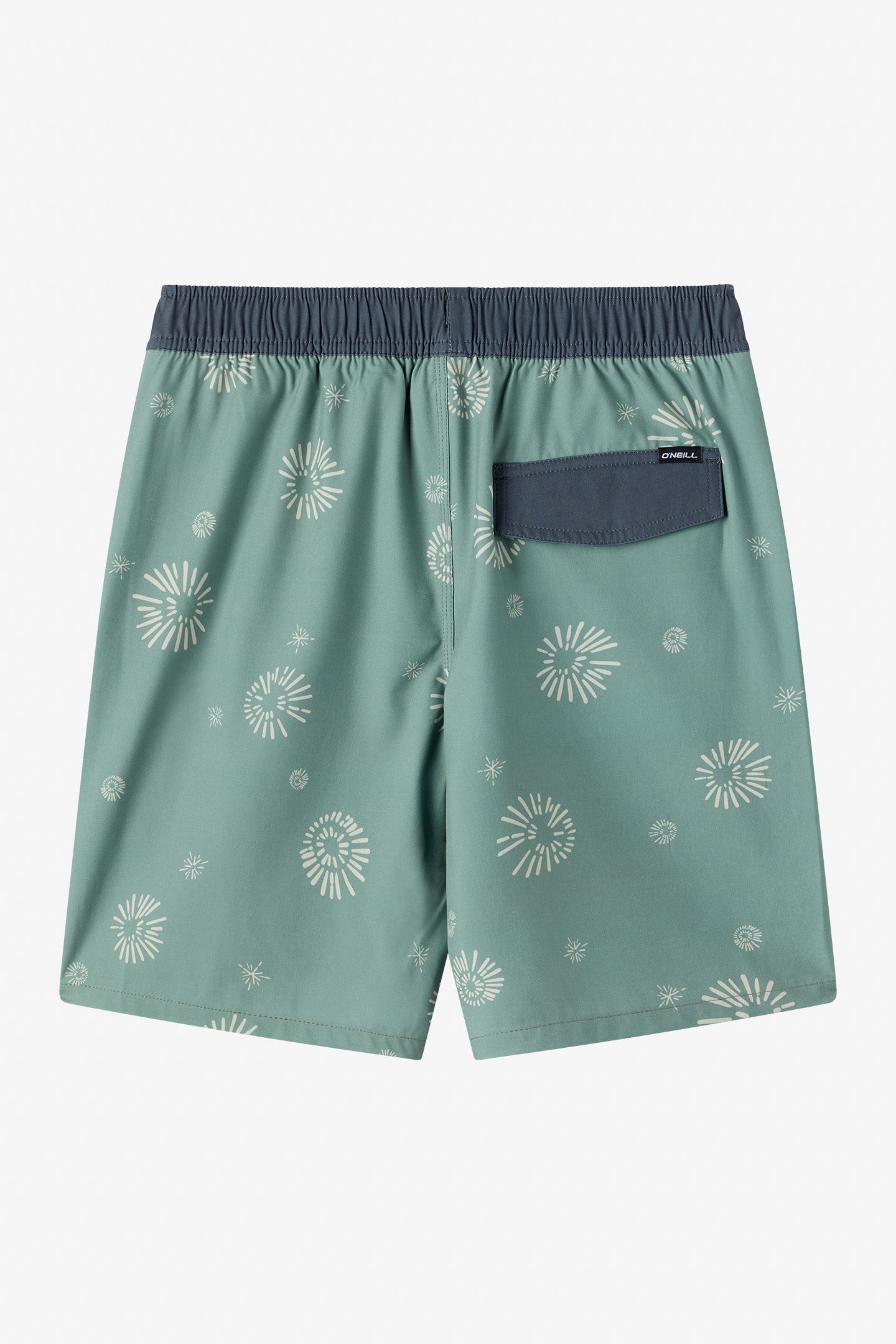 Boy's Hermosa Elastic Waist Lined 16