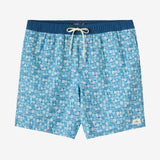 Boy's Hermosa Elastic Waist 16" Swim Trunks