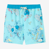 Boy's Hermosa Elastic Waist 16" Swim Trunks