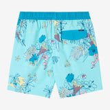 Boy's Hermosa Elastic Waist 16" Swim Trunks
