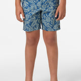 Boy's Hermosa Elastic Waist 16" Swim Trunks