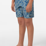 Boy's Hermosa Elastic Waist 16" Swim Trunks