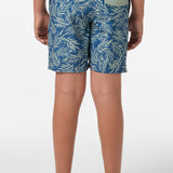 Boy's Hermosa Elastic Waist 16" Swim Trunks