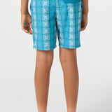 Boy's Hermosa Crew 16" Swim Trunks