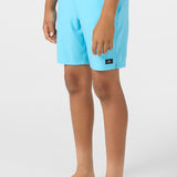 Boy's Hermosa Light Lined 16" Swim Trunks