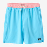 Boy's Hermosa Light Lined 16" Swim Trunks