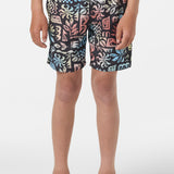 Boy's Hermosa Light Lined Volley 16" Swim Trunks