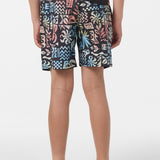 Boy's Hermosa Light Lined Volley 16" Swim Trunks