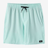 Boy's Lennox Hermosa 16" Swim Trunks