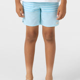 Boy's Perform Light Lined 15" Hybrid Shorts