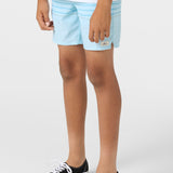 Boy's Perform Light Lined 15" Hybrid Shorts