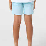 Boy's Perform Light Lined 15" Hybrid Shorts