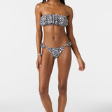 Rene Jalisco Bottoms