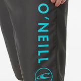 Santa Cruz Solid 21" Boardshorts