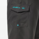 Santa Cruz Solid 21" Boardshorts