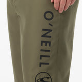 Santa Cruz Solid 21" Boardshorts