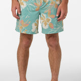Hermosa Elastic Waist Lined 17" Swim Trunks