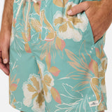 Hermosa Elastic Waist Lined 17" Swim Trunks